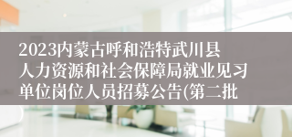 2023内蒙古呼和浩特武川县人力资源和社会保障局就业见习单位岗位人员招募公告(第二批)