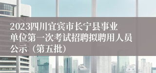 2023四川宜宾市长宁县事业单位第一次考试招聘拟聘用人员公示（第五批）