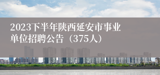 2023下半年陕西延安市事业单位招聘公告（375人）