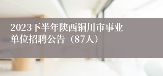 2023下半年陕西铜川市事业单位招聘公告（87人）