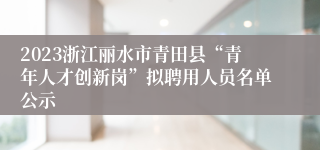 2023浙江丽水市青田县“青年人才创新岗”拟聘用人员名单公示