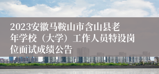 2023安徽马鞍山市含山县老年学校（大学）工作人员特设岗位面试成绩公告