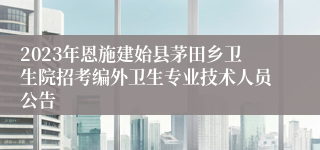 2023年恩施建始县茅田乡卫生院招考编外卫生专业技术人员公告