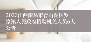 2023江西南昌市青山湖区罗家镇人民政府招聘机关人员6人公告