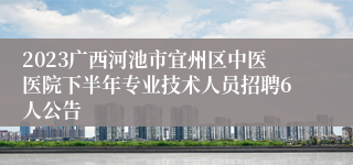 2023广西河池市宜州区中医医院下半年专业技术人员招聘6人公告