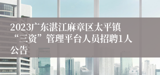 2023广东湛江麻章区太平镇“三资”管理平台人员招聘1人公告