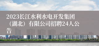 2023长江水利水电开发集团（湖北）有限公司招聘24人公告