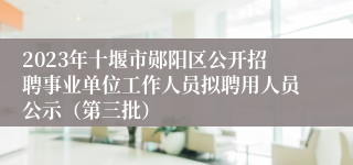 2023年十堰市郧阳区公开招聘事业单位工作人员拟聘用人员公示（第三批）