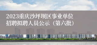 2023重庆沙坪坝区事业单位招聘拟聘人员公示（第六批）
