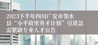 2023下半年四川广安市邻水县“小平故里英才计划”引进急需紧缺专业人才公告