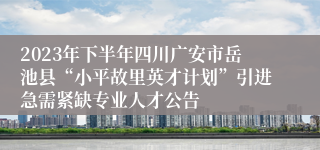 2023年下半年四川广安市岳池县“小平故里英才计划”引进急需紧缺专业人才公告