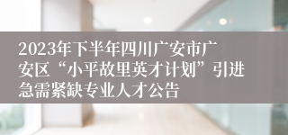 2023年下半年四川广安市广安区“小平故里英才计划”引进急需紧缺专业人才公告