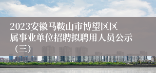 2023安徽马鞍山市博望区区属事业单位招聘拟聘用人员公示（三）