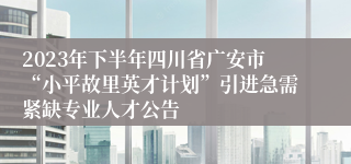 2023年下半年四川省广安市“小平故里英才计划”引进急需紧缺专业人才公告