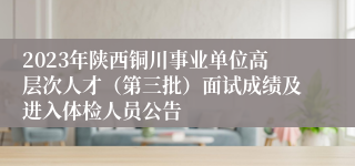 2023年陕西铜川事业单位高层次人才（第三批）面试成绩及进入体检人员公告