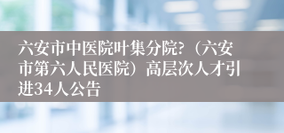 六安市中医院叶集分院?（六安市第六人民医院）高层次人才引进34人公告