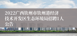 2022广西钦州市钦州港经济技术开发区生态环境局招聘1人公告