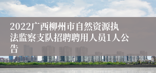 2022广西柳州市自然资源执法监察支队招聘聘用人员1人公告