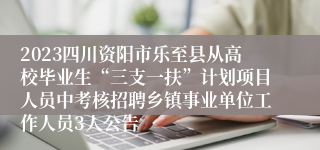 2023四川资阳市乐至县从高校毕业生“三支一扶”计划项目人员中考核招聘乡镇事业单位工作人员3人公告