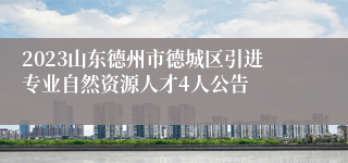 2023山东德州市德城区引进专业自然资源人才4人公告