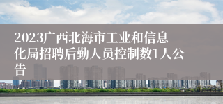 2023广西北海市工业和信息化局招聘后勤人员控制数1人公告