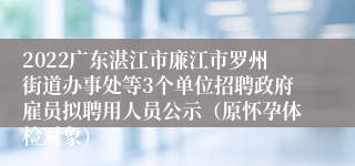 2022广东湛江市廉江市罗州街道办事处等3个单位招聘政府雇员拟聘用人员公示（原怀孕体检对象）