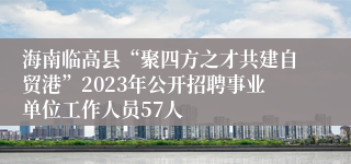 海南临高县“聚四方之才共建自贸港”2023年公开招聘事业单位工作人员57人