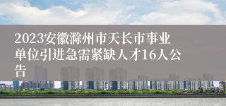 2023安徽滁州市天长市事业单位引进急需紧缺人才16人公告