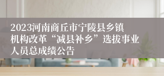 2023河南商丘市宁陵县乡镇机构改革“减县补乡”选拔事业人员总成绩公告