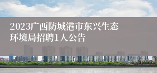 2023广西防城港市东兴生态环境局招聘1人公告