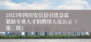 2023年四川安岳县引进急需紧缺专业人才拟聘用人员公示（第三批）