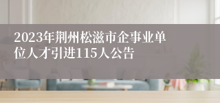 2023年荆州松滋市企事业单位人才引进115人公告