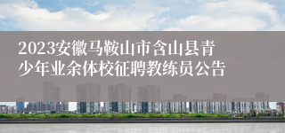 2023安徽马鞍山市含山县青少年业余体校征聘教练员公告