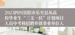 2023四川资阳市乐至县从高校毕业生“三支一扶”计划项目人员中考核招聘乡镇事业单位人员3人公告