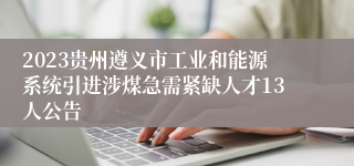 2023贵州遵义市工业和能源系统引进涉煤急需紧缺人才13人公告