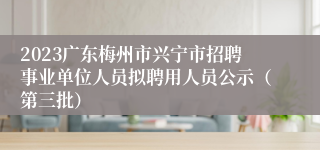 2023广东梅州市兴宁市招聘事业单位人员拟聘用人员公示（第三批）