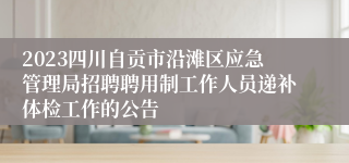 2023四川自贡市沿滩区应急管理局招聘聘用制工作人员递补体检工作的公告