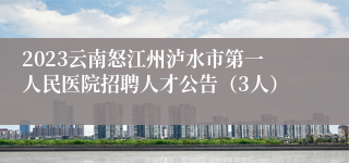 2023云南怒江州泸水市第一人民医院招聘人才公告（3人）