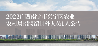 2022广西南宁市兴宁区农业农村局招聘编制外人员1人公告