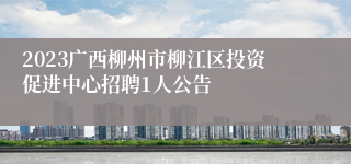 2023广西柳州市柳江区投资促进中心招聘1人公告