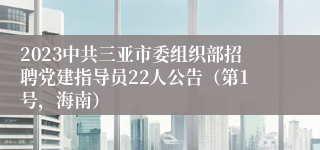 2023中共三亚市委组织部招聘党建指导员22人公告（第1号，海南）