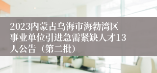 2023内蒙古乌海市海勃湾区事业单位引进急需紧缺人才13人公告（第二批）