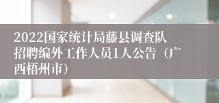 2022国家统计局藤县调查队招聘编外工作人员1人公告（广西梧州市）