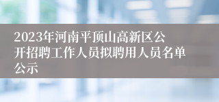 2023年河南平顶山高新区公开招聘工作人员拟聘用人员名单公示