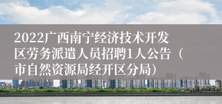 2022广西南宁经济技术开发区劳务派遣人员招聘1人公告（市自然资源局经开区分局）