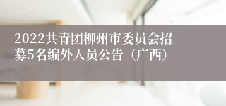 2022共青团柳州市委员会招募5名编外人员公告（广西）