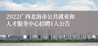 2022广西北海市公共就业和人才服务中心招聘1人公告