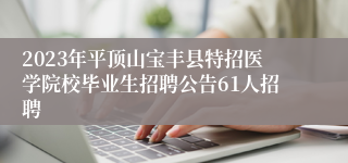 2023年平顶山宝丰县特招医学院校毕业生招聘公告61人招聘