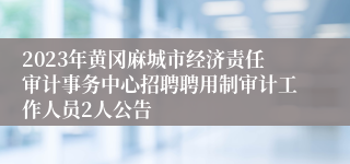 2023年黄冈麻城市经济责任审计事务中心招聘聘用制审计工作人员2人公告