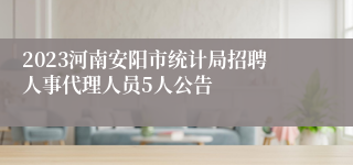 2023河南安阳市统计局招聘人事代理人员5人公告